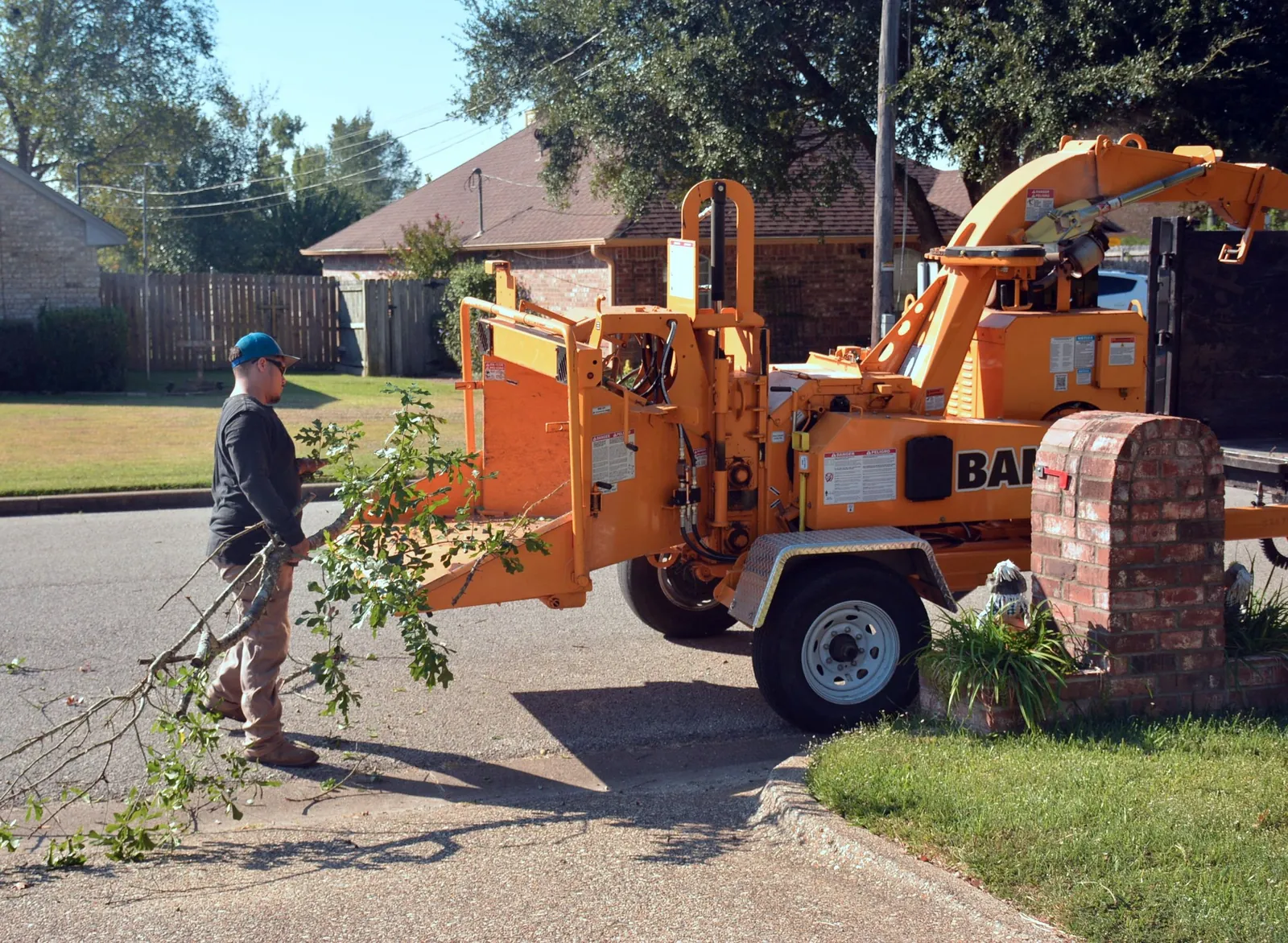 Tree Removal in Long Island, NY